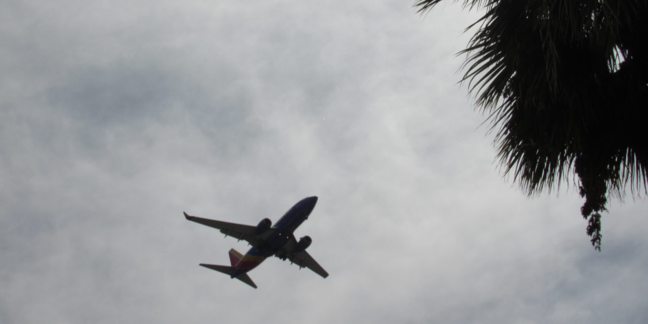 San Jose – Emergency Removal of Trees